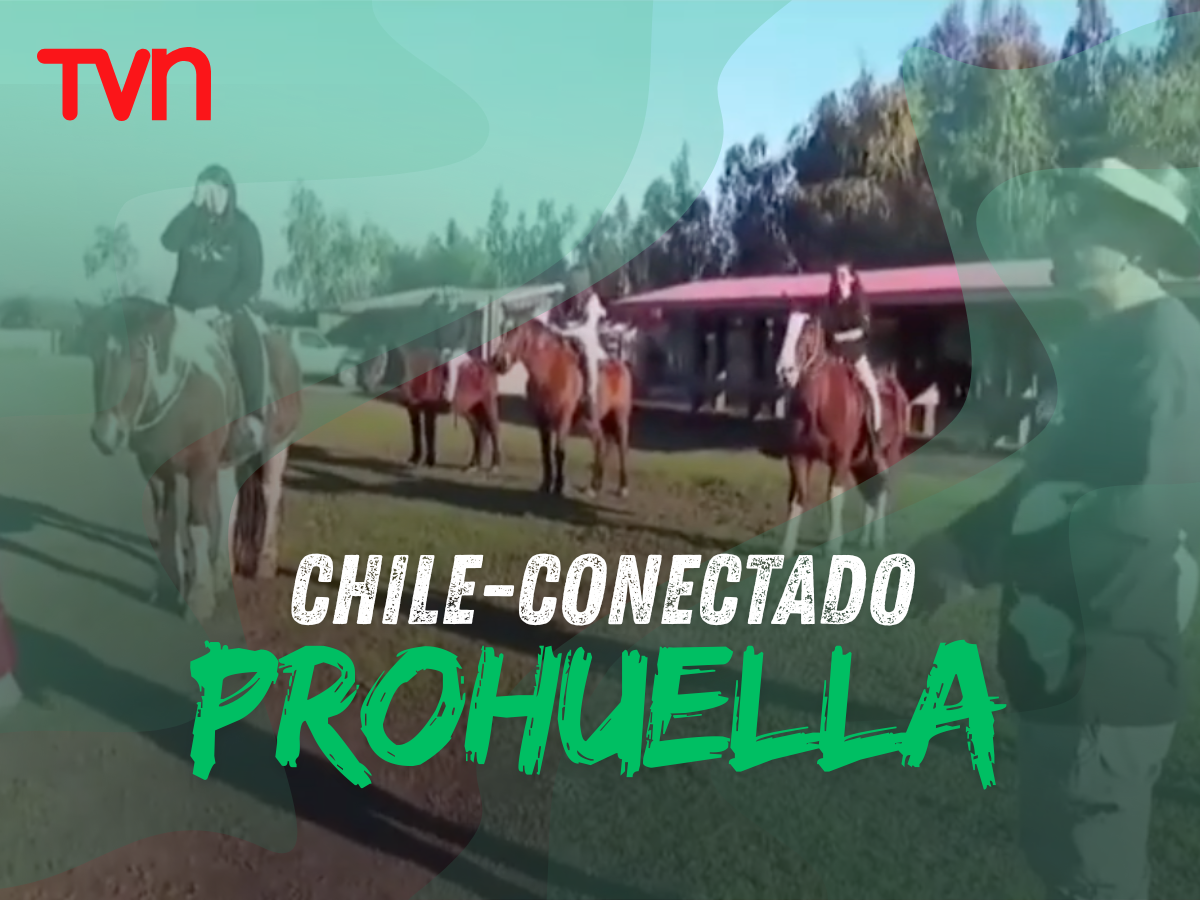 Reportaje — Chile Conectado